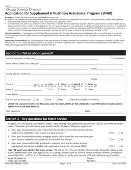 Blank Apply For Food Stamps In Missouri Template