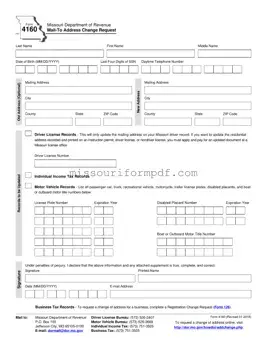 Blank Missouri 4160 Template